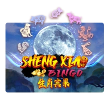 Sheng Xiao Bingo - VIAPLAY777