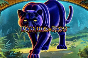 Playtech : Panther Pays - VIAPLAY777