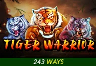 Spadegaming : Tiger Warrior - VIAPLAY777
