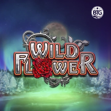 Bigtime : Wild Flower - VIAPLAY777