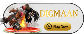 Digman - VIAPLAY777