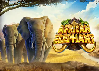 Pragmatic : African Elephant - VIAPLAY777